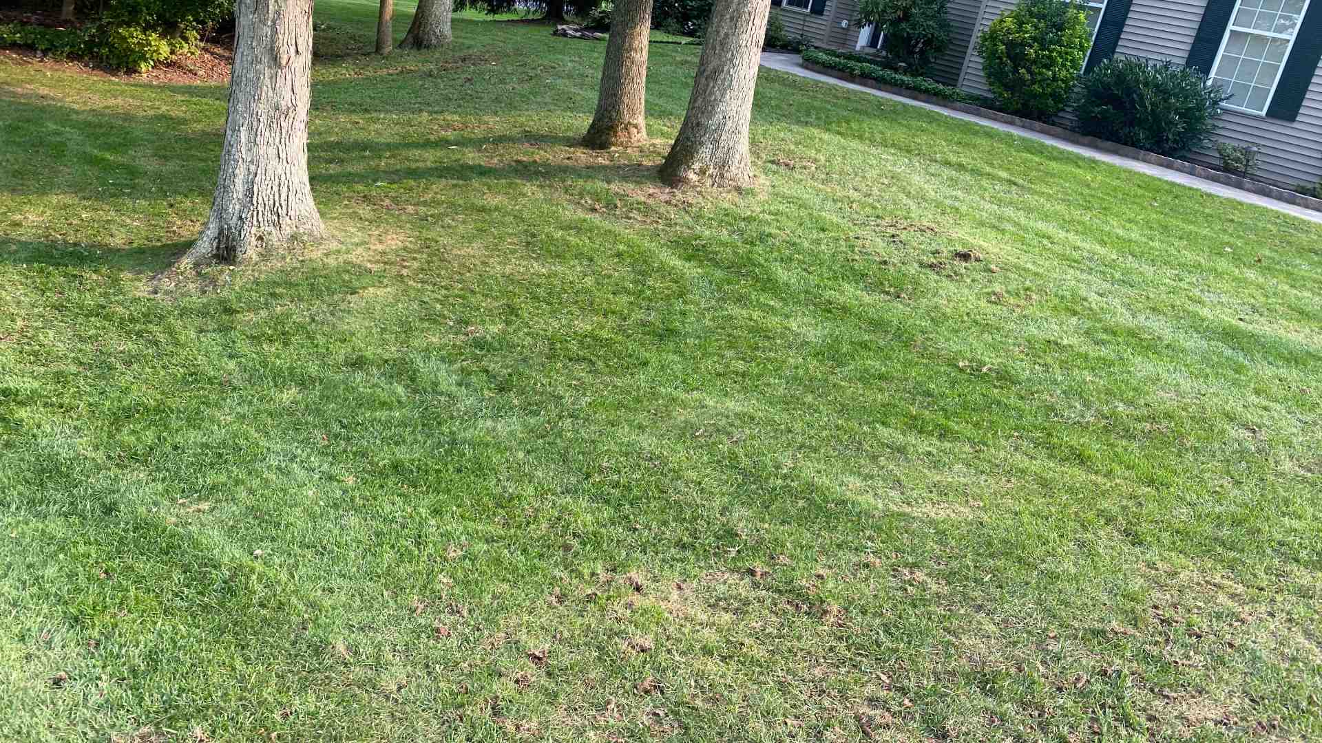 When Is the Best Time to Core Aerate Your Lawn in Pennsylvania?
