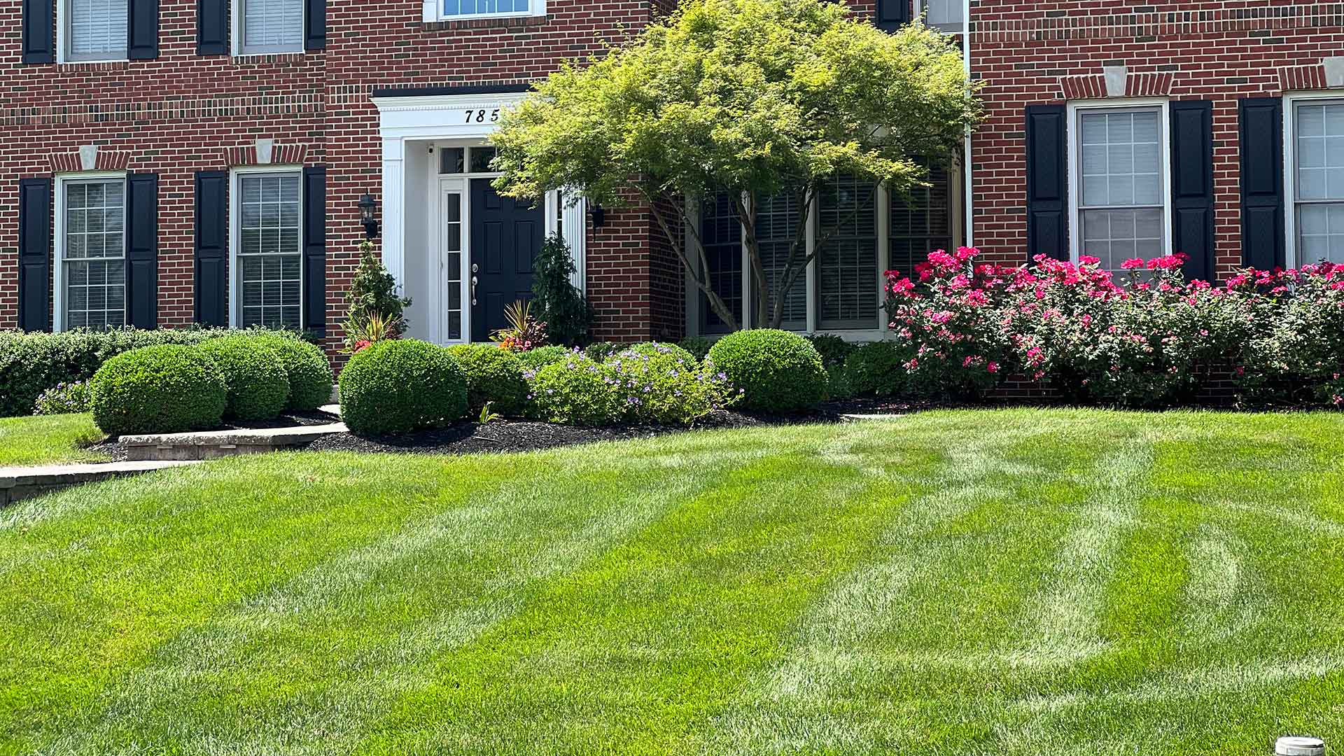 Beautiful brick home in Bensalem, PA with trimmed landscape shrubs and green lawn grass.