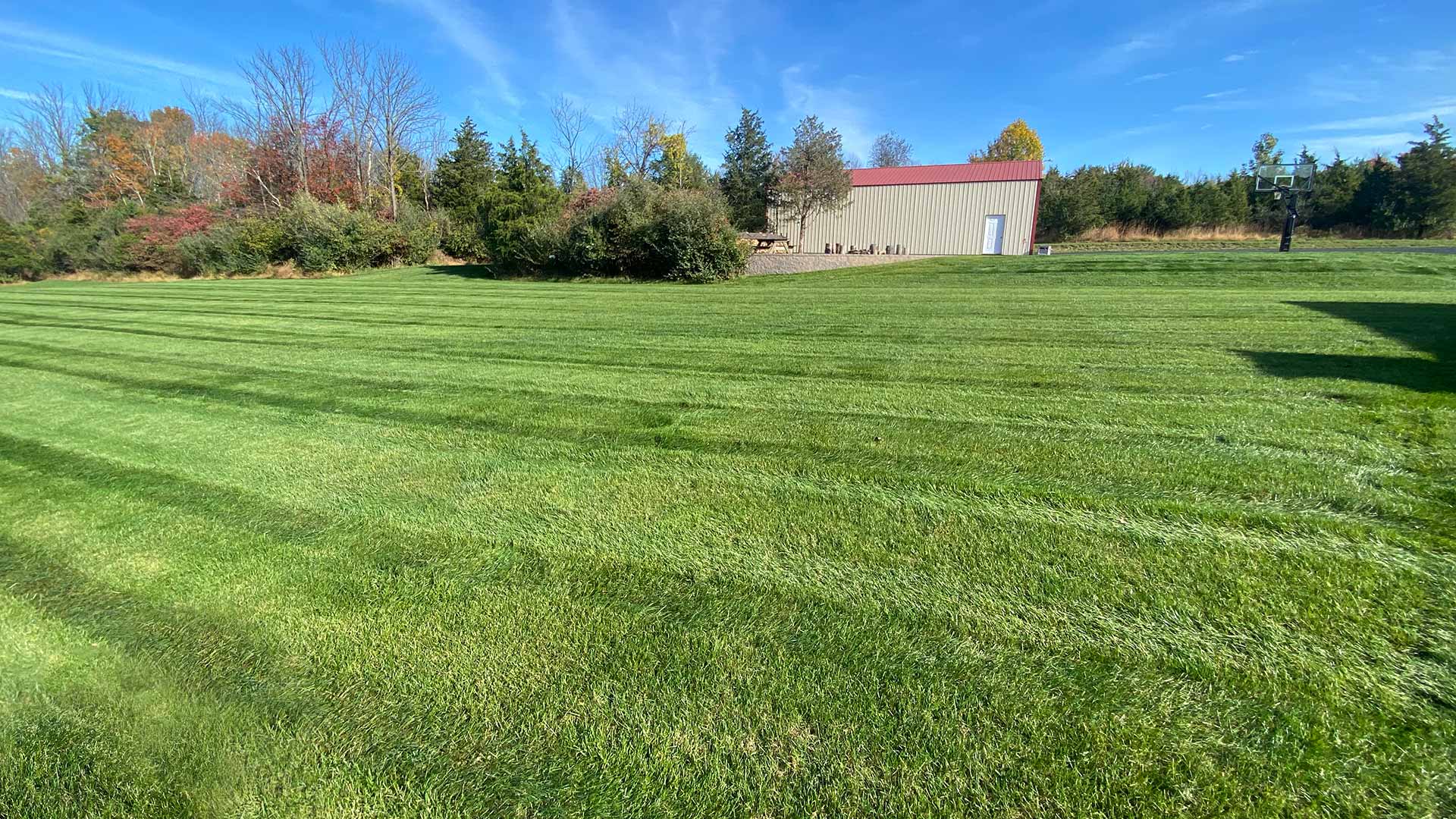 Beautiful, green lawn in a large yard with a tree line and shop building near Telford, PA.