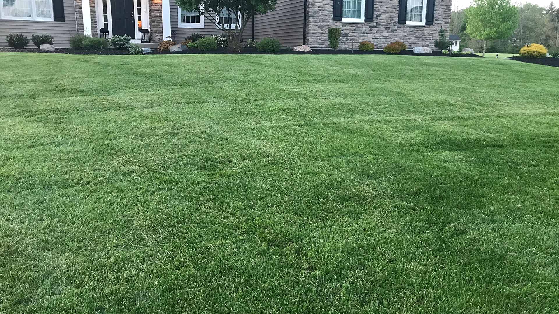 Deep green front lawn at a home in Bristol, Pennsylvania.
