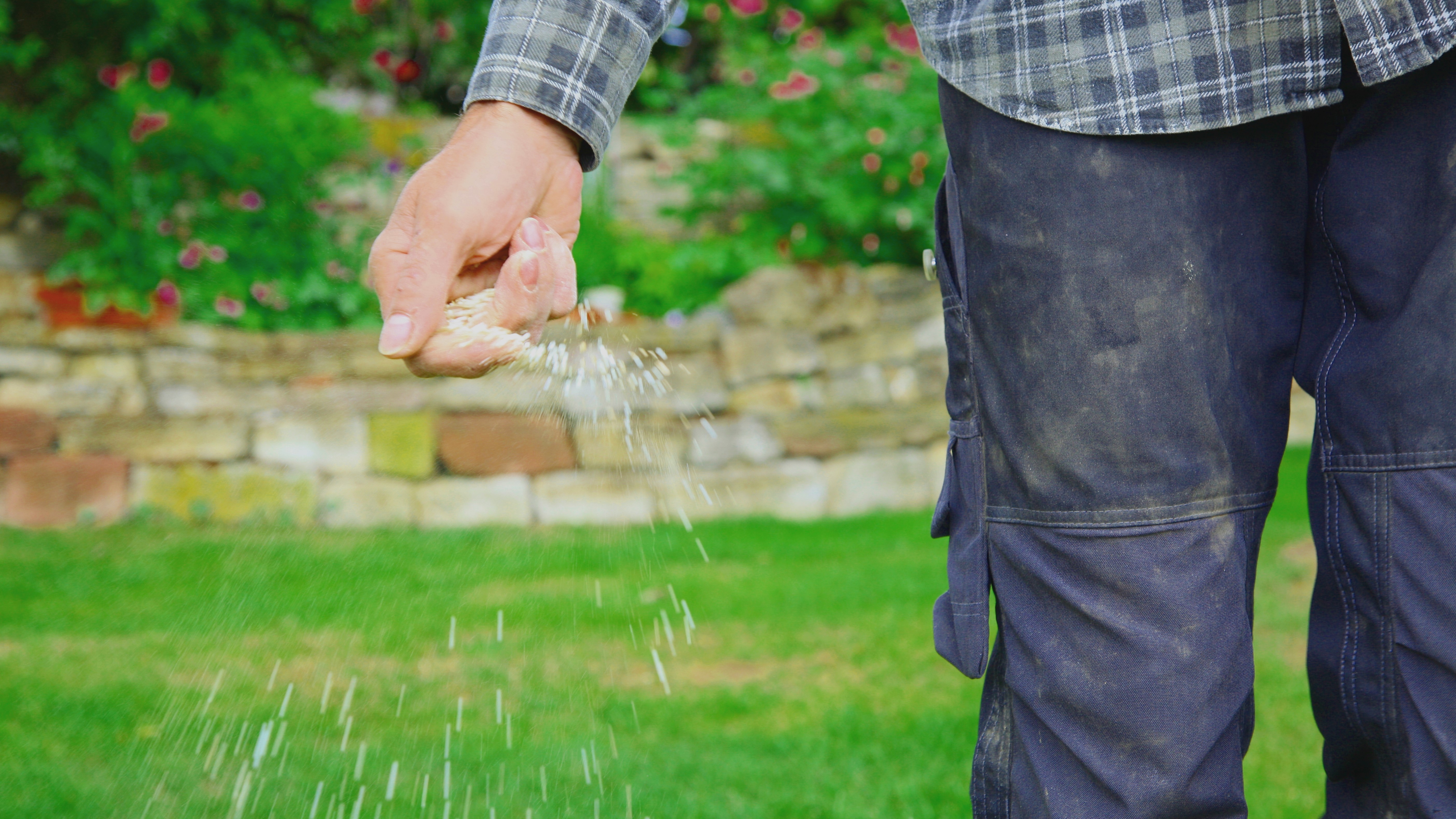 3 Mistakes That You Could Make if You Try to Fertilize Your Own Lawn