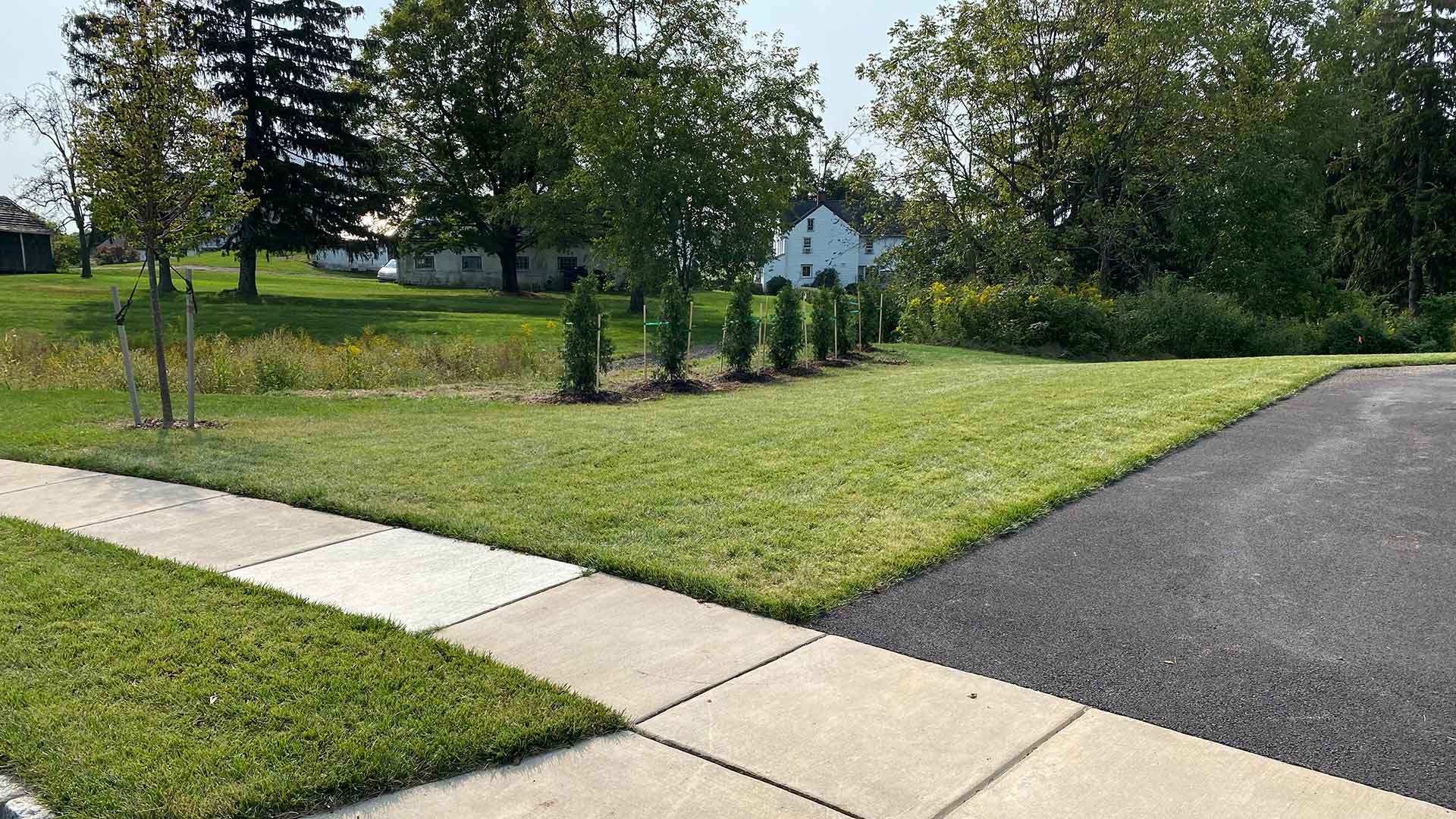 Welcome to the New Green Grass Lawncare Website!