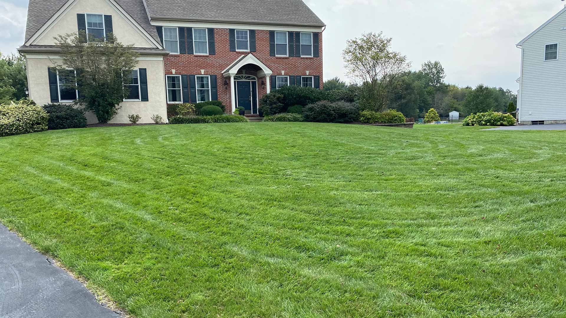 Green lawn with thick, healthy grass at a home in Montgomery County, PA.
