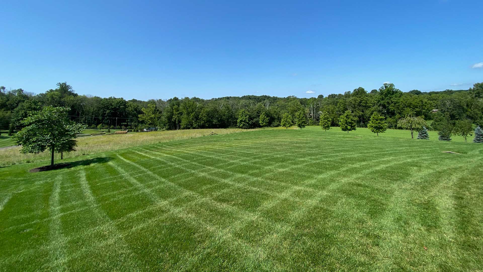 Large, open field with mowing lines near Souderton, PA.