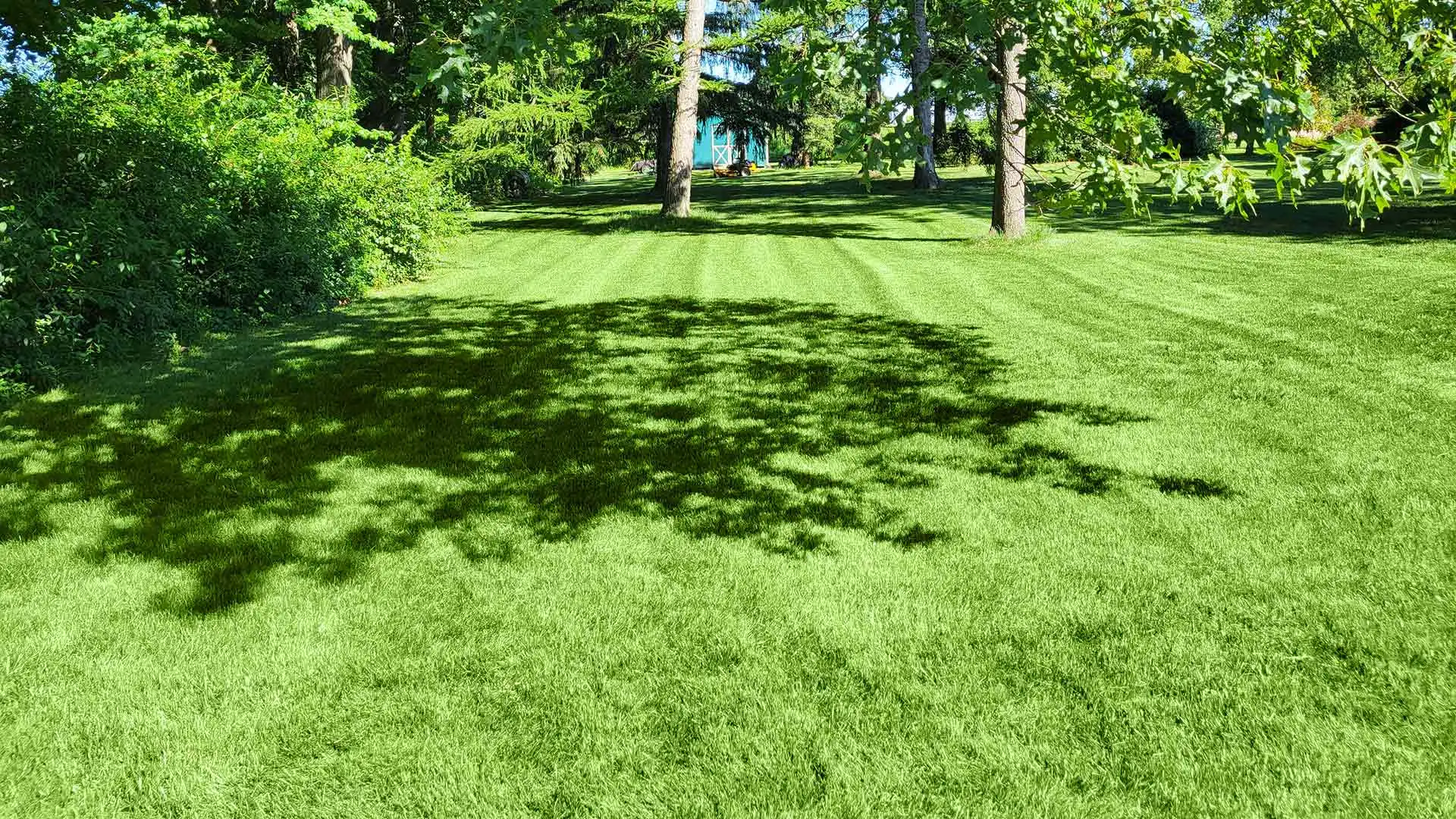 4 Lawn Care Services to Schedule Now for the Fall Season