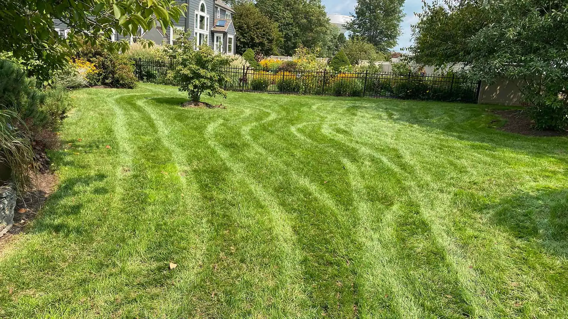 Lush, green lawn and landscaping around a home in Telford, PA.