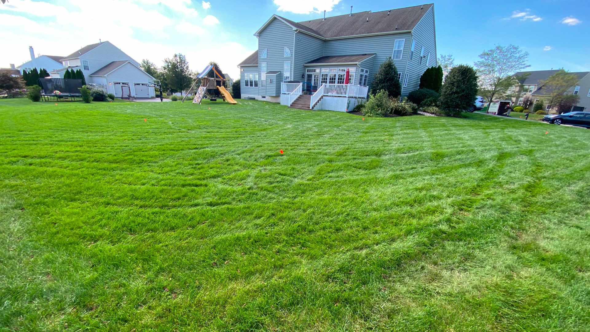 Freshly mowed backyard lawn in Doylestown, PA.