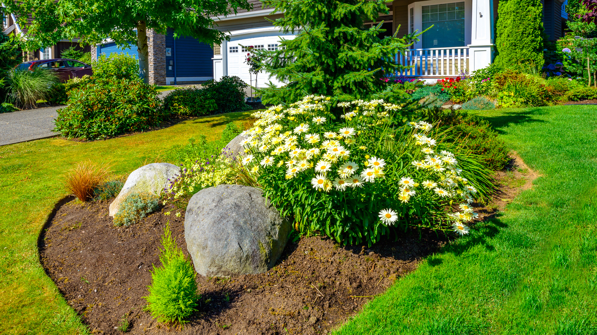 A thriving landscape bed thanks to our services in front of a home in Phoenixville, PA. 