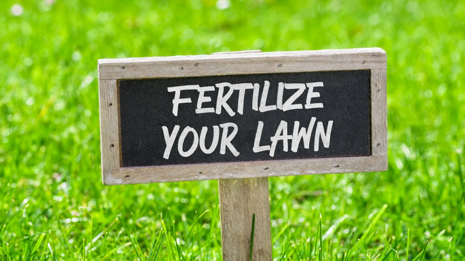 The Ideal Fertilization Schedule for Lawns in Pennsylvania