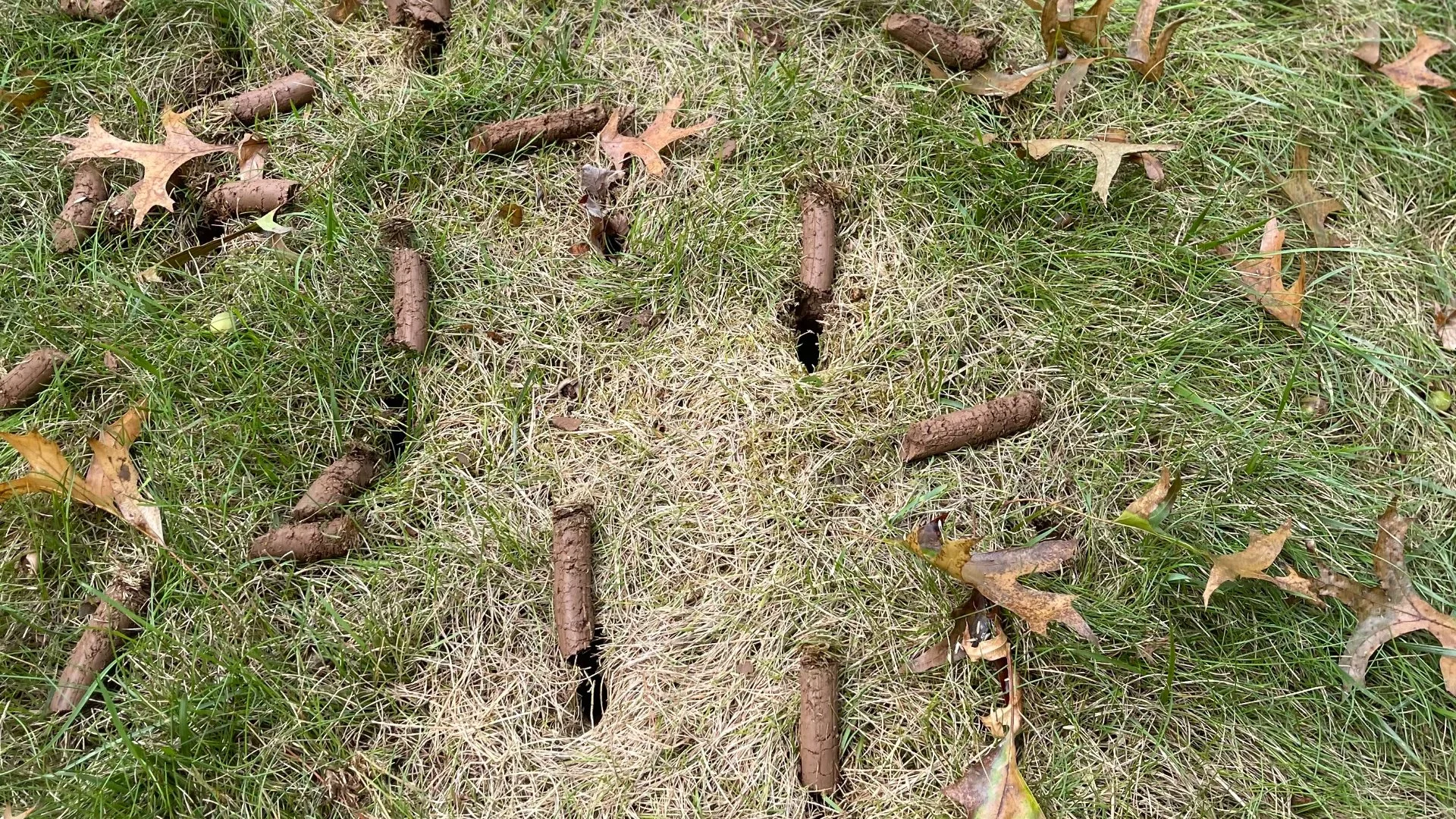 Are There Supposed to Be Clumps of Soil on My Lawn After Aeration?
