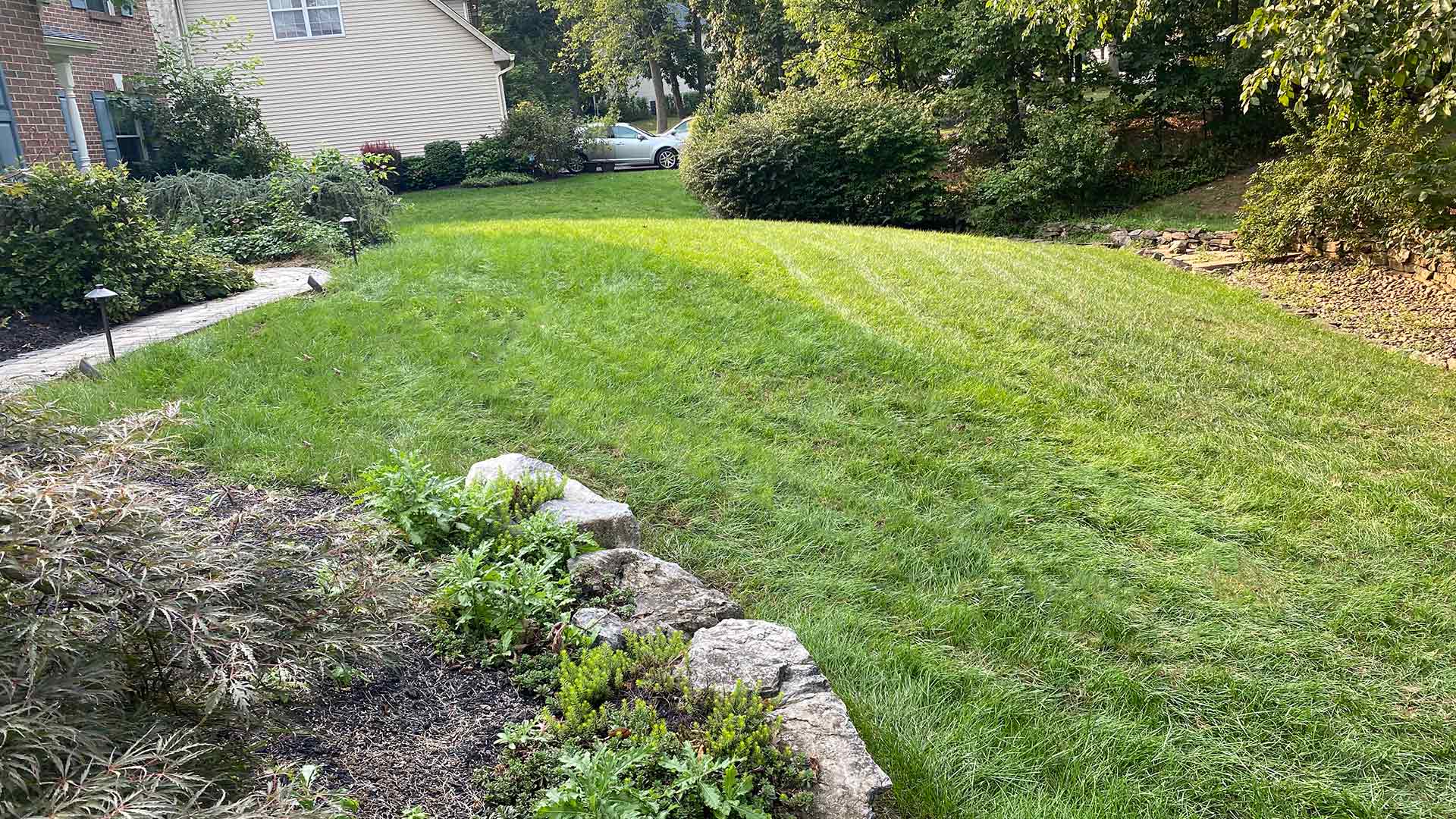 Thick, green lawn at a home in Telford, PA.