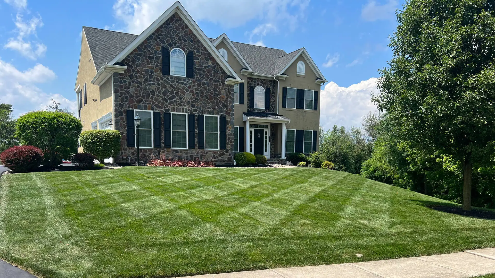 Thick, green lawn grass up close at a home in Abington Township, PA.