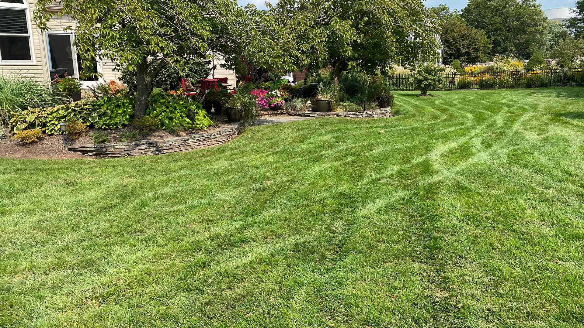 Yard with healthy lawn grass and beautiful landscaping near King of Prussia, PA.