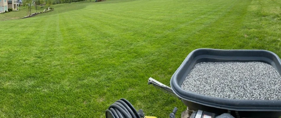 Applying granular fertilizer to a lawn in Telford, PA.