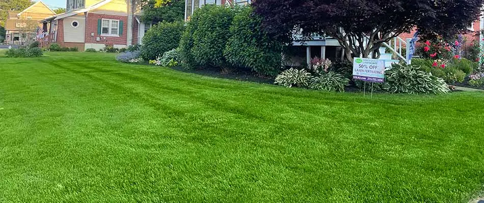 Beautiful green lawn in front of a home near Telford, PA.