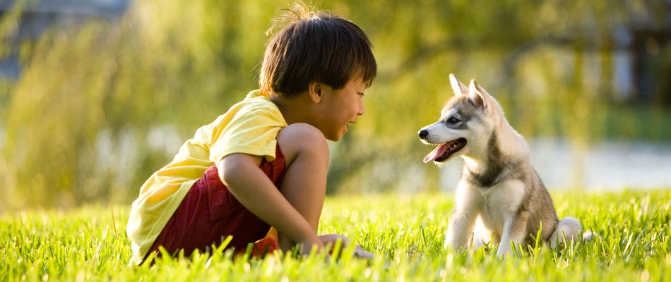 A young boy enjoying his time with his dog on a healthy lawn in Horsham, PA. 