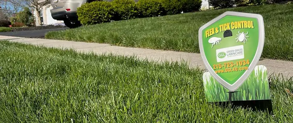 Flea and tick yard sign in lawn grass near Telford, PA.