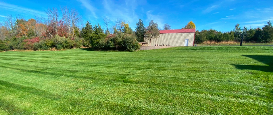 Freshly mowed lawn with pattern created in Telford, PA.