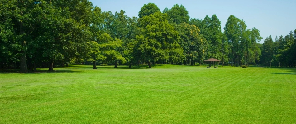 Green lawn in Quakertown, PA.