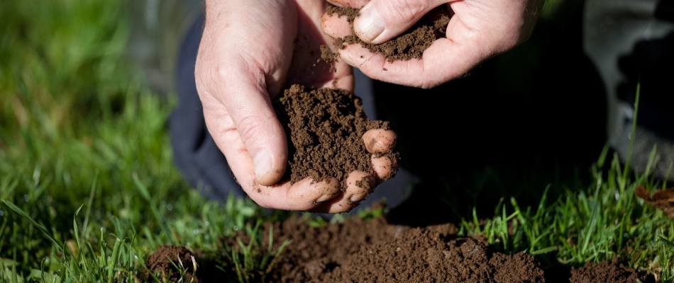 Hands feeling new soil in lawn in Telford, PA.