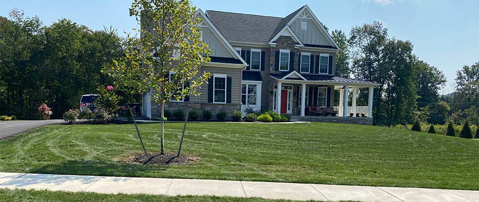 Healthy lawn with landscaping at a home in Harleysville, Montgomery County, Pennsylvania.