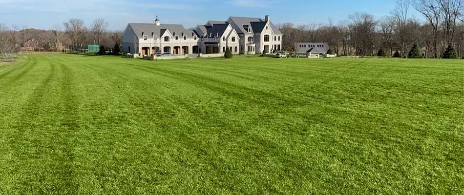Large estate with beautiful, green large lawn near Newtown, PA.