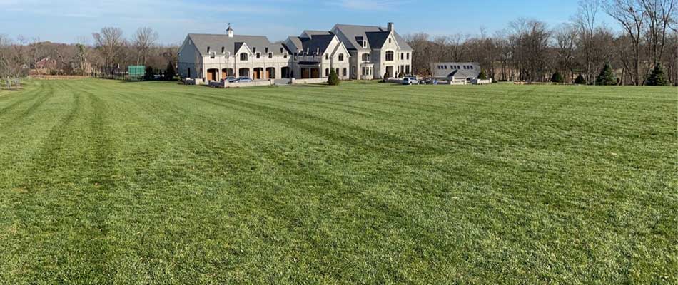 Large yard with healthy, green lawn grass near Bristol, Pennsylvania.