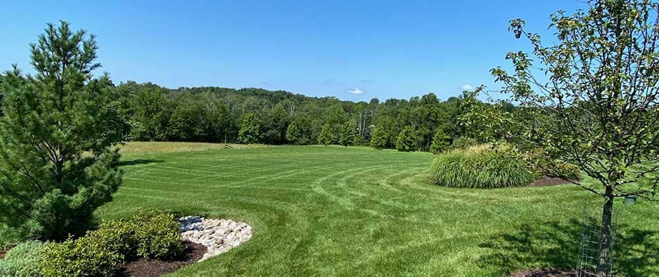 Large yard with trees and landscaping near Abington Township, PA.