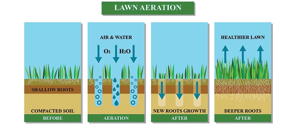 Lawn aeration infographic for properties in Souderton, PA.
