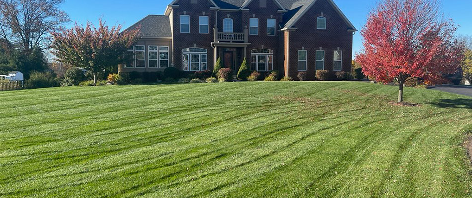 Large lawn mowed by Green Grass Lawncare, Inc. in Ambler, PA.