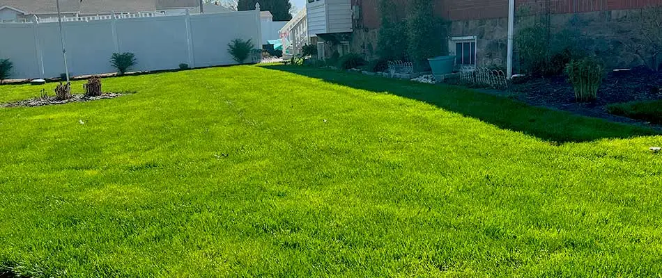 Lush, green home lawn near a house in King of Prussia, PA.