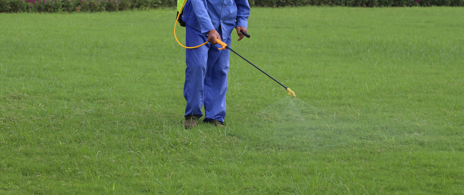 Our lawn care specialist spraying liquid fertilizer on a lawn in Gilbertsville, PA.
