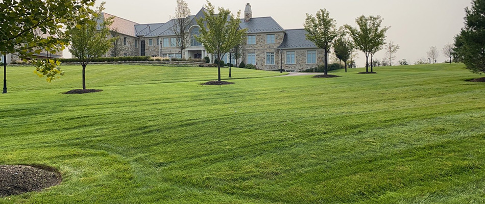 Serviced lawn for large home in Boyertown, PA.