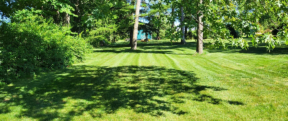 Serviced lawn in Schwenksville, PA.