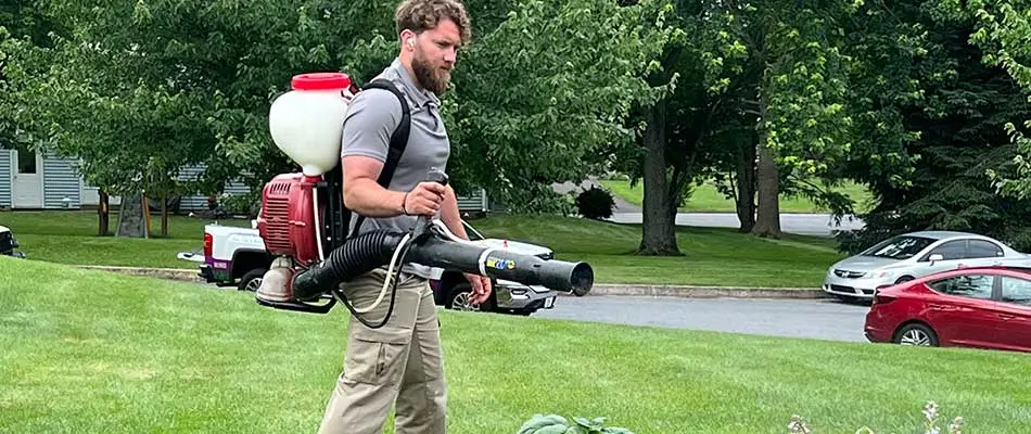 Technician spraying mosquito control over lawn in Coopersburg, PA.