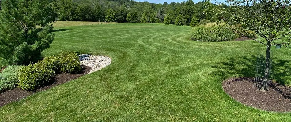 Trimmed landscape with healthy, green lawn grass near Horsham, PA.