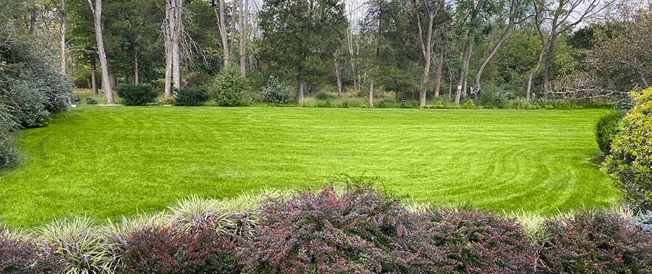 Vivid green lawn with landscape shrubs and bushes near Doylestown, PA.