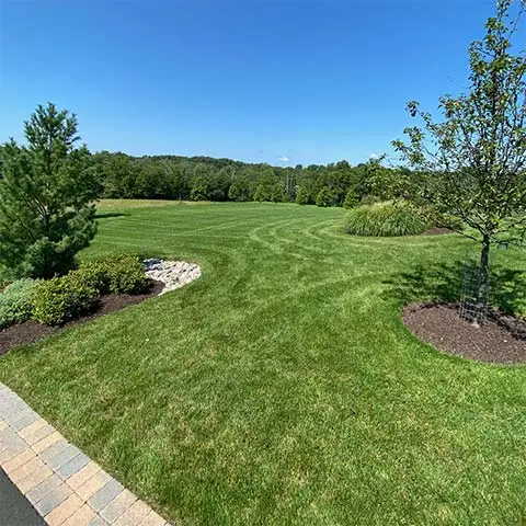 Beautiful green lawn and landscape bed with trees near Telford, PA.