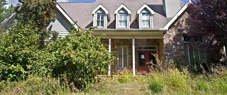 overgrown-bushes-and-grass-in-yard-by-house