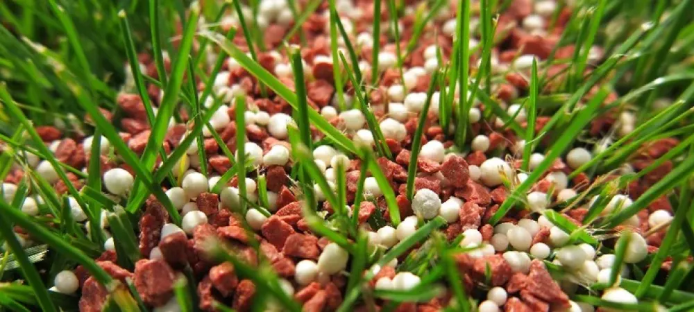 granular-fertilizer-in-lawn