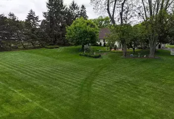 Lawn-zoomed-out