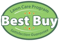Best Buy Package Icon