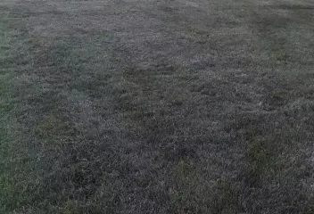 lawn-3